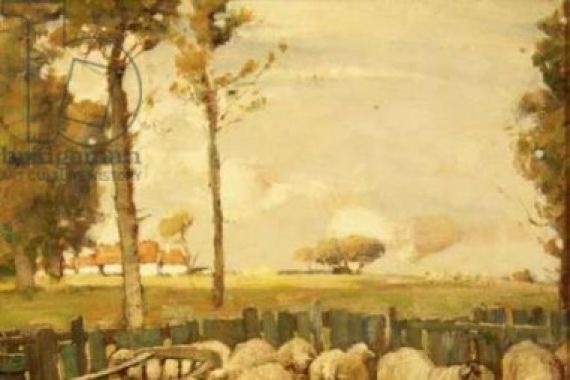 William McBride