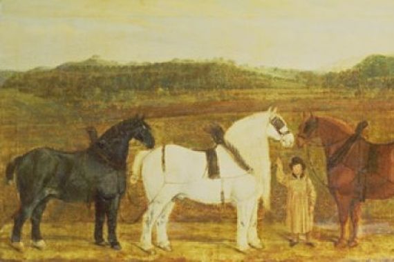William Nedham