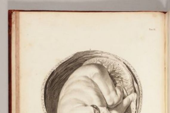 William Smellie