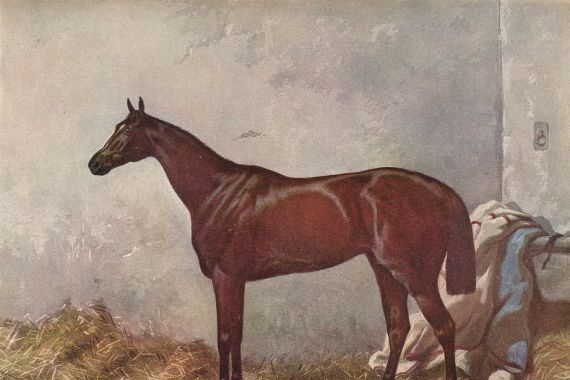 William Summers