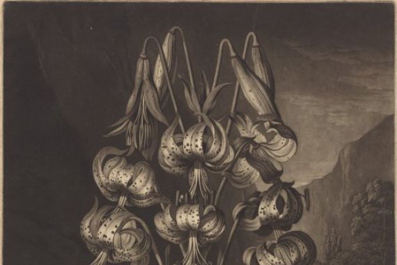 William Ward after Philip Reinagle