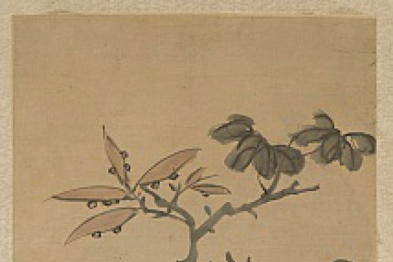 Wu Rangzhi