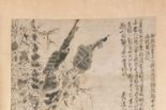 Xu Wei