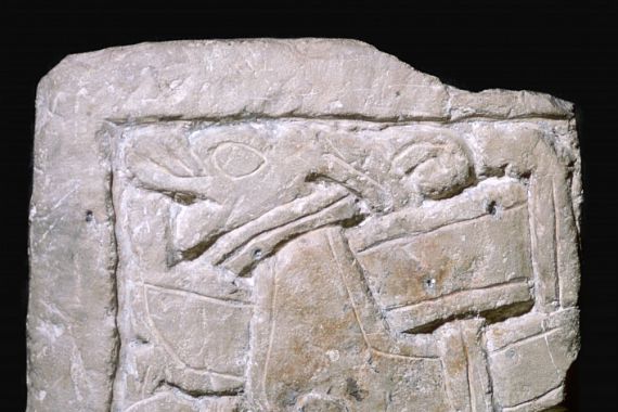 York Master