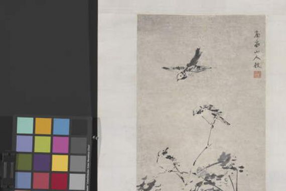 Yu Zhang