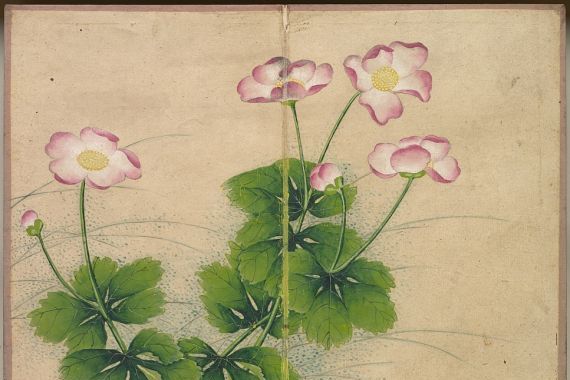 Zhang Ruoai