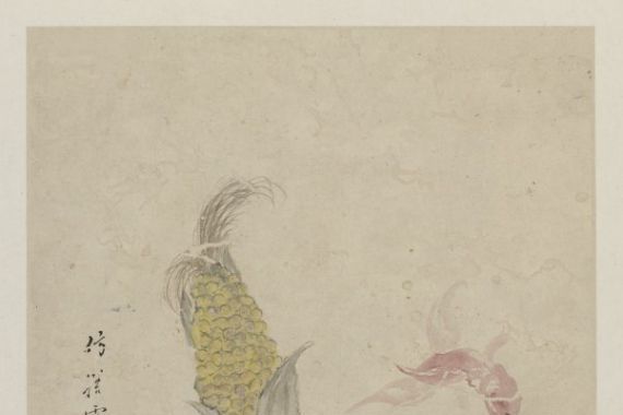Zou Yigui