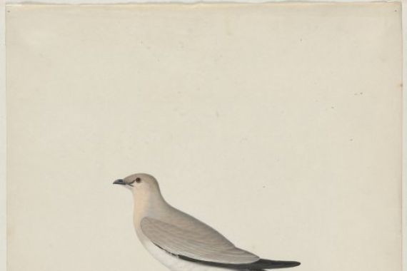 attributed to Paul Hüet