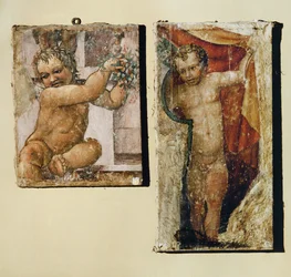 Putto med blomster, putto med gardin