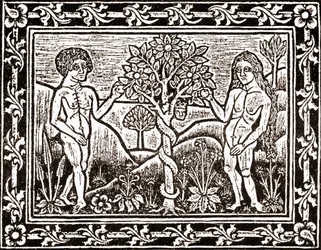 Treet som Adam spiste eplet fra, faksimile fra en meditasjonsbok, den første boken trykt i Albi, Languedoc, i 1481
