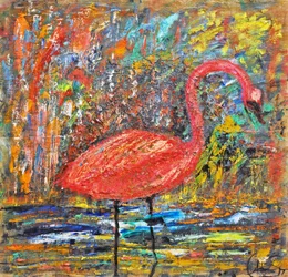Flamingoens store skjønnhet