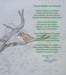 Våre skyer på himmelen! - Versjon 1