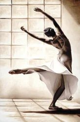 Dansefinesse