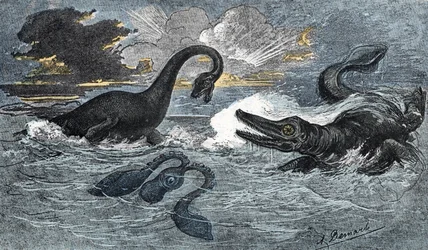 Plesiosaur og en ichthyosaur fra tidlig jura