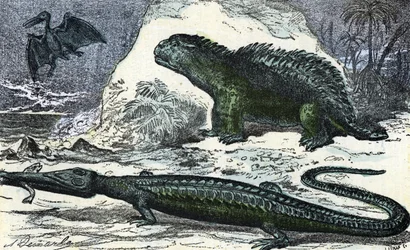 Forhistorie: fremstilling av en teleosaur (forlenget snute) og en hyleosaur fra juratiden (Forhistorie, jura: Teleosaurus og Hylaeosaurus). Gravering fra «Naturen og mennesket» av Rengade, 1881. Privat samling