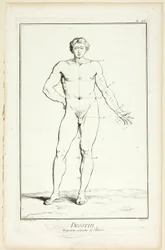 Design: Generelle proporsjoner av mannen, fra Encyclopédie