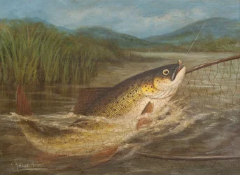 Fluefiskerens garn