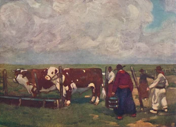 Stamtavle Oxen on a a Lemco Estancia, 1916