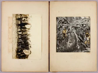 Māorier og andre ville, studiemappe til boken Concealing Coloration in the Animal Kingdom