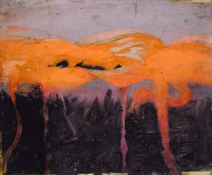 Red Flamingoes, studie for boken Concealing Coloration in the Animal Kingdom, ca. 1905-1909.