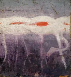 Hvite flamingoer, studie for boken *Skjul farge i dyreriket*