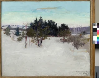 Vinterlandskap, 1902