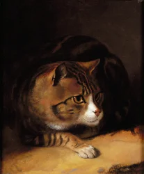 En Tabby Cat