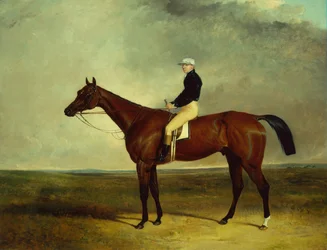 Mr. Wrefords «visdom» ridd av Sam Day