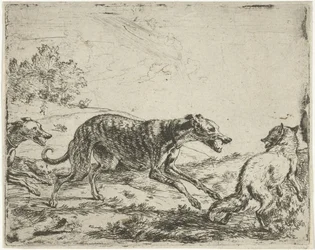 Fox og de tre hundene