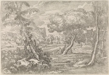 Skogkledd landskap