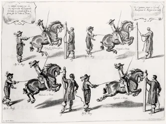 Illustrasjon fra en ridehåndbok, gravert av Peeter Clouwet (1629-70), 1658