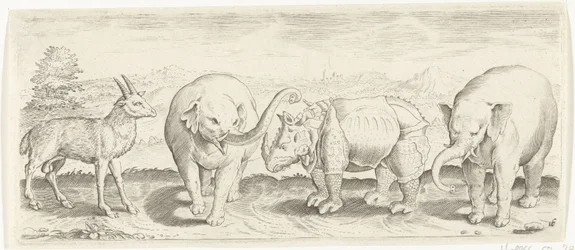 Gaselle-, elefant- og neshorndyr (serietittel)