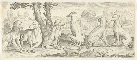 Dogs Animals (serietittel)