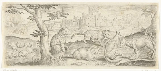 Rotter, katter og rever Dyr (serietittel)