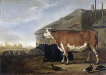 Cattlenorwegian