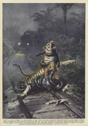 Midt i den indiske skogen venter en mann på toget nær jernbanelinjen