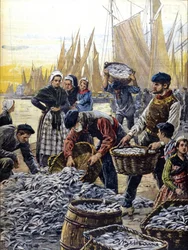 Sardinfiske i Bretagne i 1903 illustrasjon av Achille Beltrame
