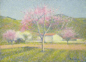 An Orchard in Springtime, Apple Trees in Bloom, ca. 1920-29 (olje på bomull)
