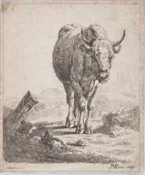 En ku, sett forfra, 1805.