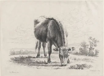 Kubeite, 1805., 1805.
