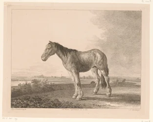 Stående hest i et elvelandskap Dyr etter malerier av nederlandske mestere (serietittel) Différens animaux graves d