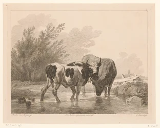 To kyr i en bekk Dyr etter malerier av nederlandske mestere (serietittel) Différens animaux graves d