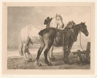 To hester i et elvelandskap Dyr etter malerier av nederlandske mestere (serietittel) Différens animaux graves d