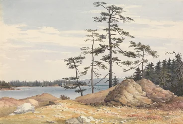 «Esquimalt havn, Vancouvers øy, 28. juni 1851 [Canada]»