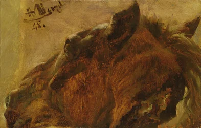 Head of a Dead Horse, 1848 (olje på papir montert på lerret)