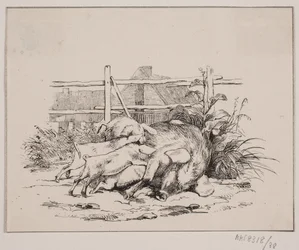 Grisene