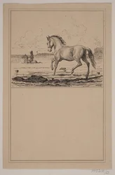Hesten i vannet. Nei. 22 i Chr. Winther og M. Rørbye, "25 bilder for små barn"