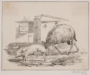 Væren og grisen