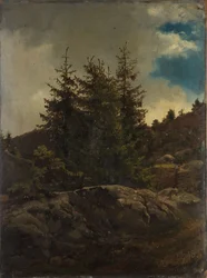 Landskap fra Nes i Hallingdal