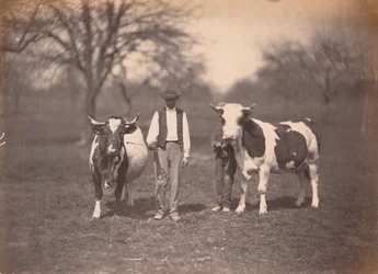 Landskap, ca. 1864 (foto)